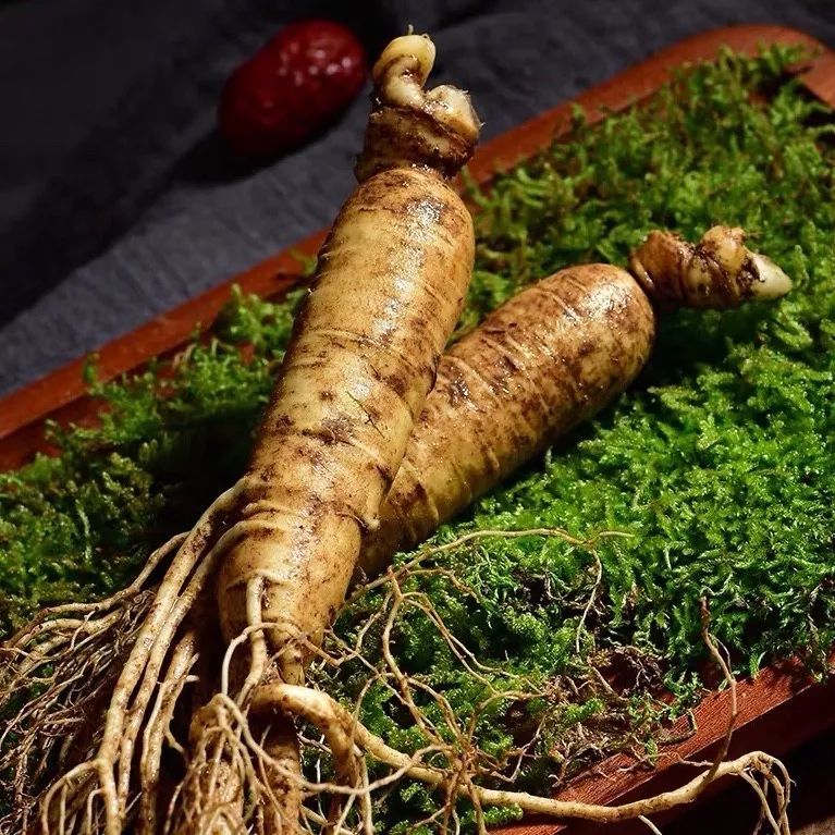 长白山鲜人参煲鸡,长白山精品袋装鲜人参炖鸡