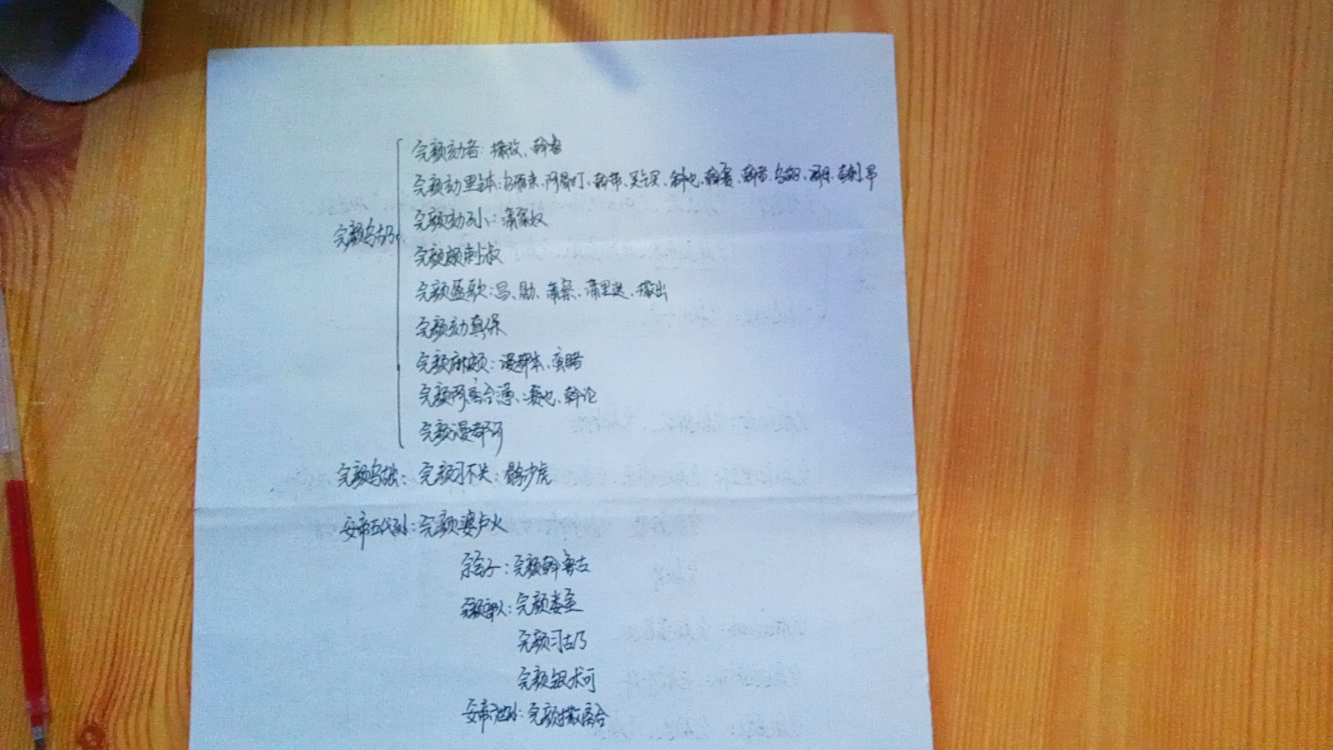 金朝完颜家族势力排名,金朝开国大将完颜氏