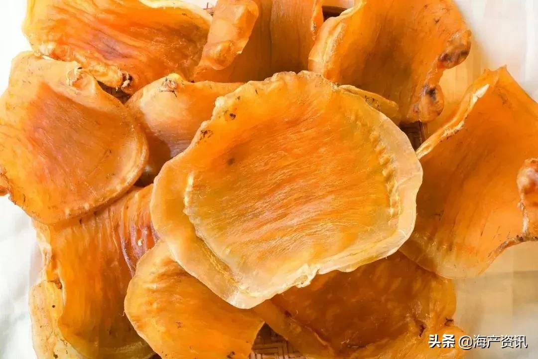 怎么区别花胶公母有教程,花胶公母区别方法图解