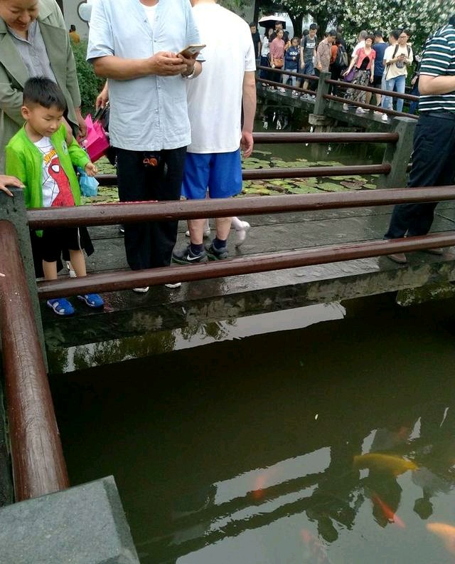 西子湖畔夜游,西子湖上荡游船攻略