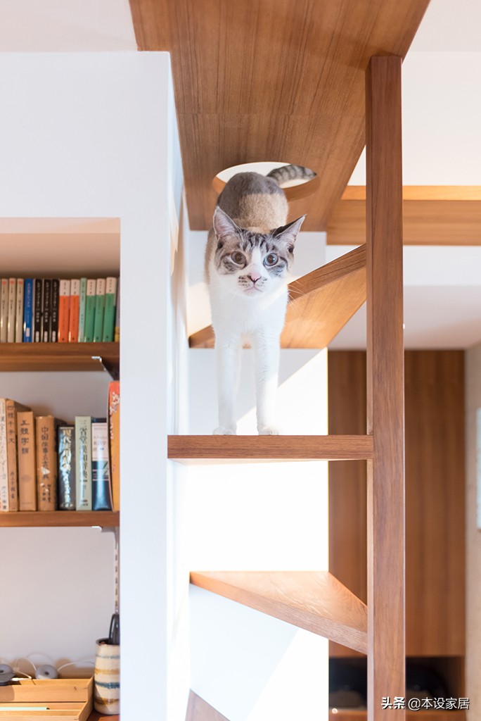 看了这套84㎡“教科书式”小宅,我发现无数中国人正在过度装修