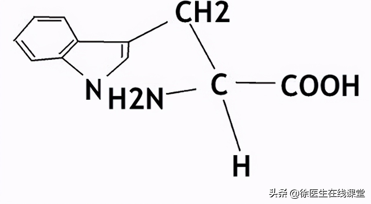 乳腺结节喝蒲公英真的消除了,蒲公英水喝多久对乳腺结节见效