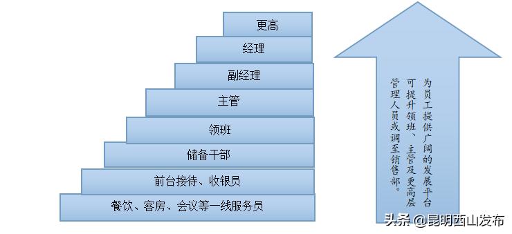 工作“拍了拍”你，一大波见习岗位等你来pick！