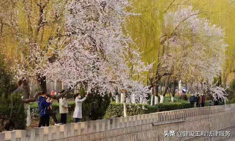 雇佣保姆照顾老人协议最新,雇佣高龄保姆免责协议