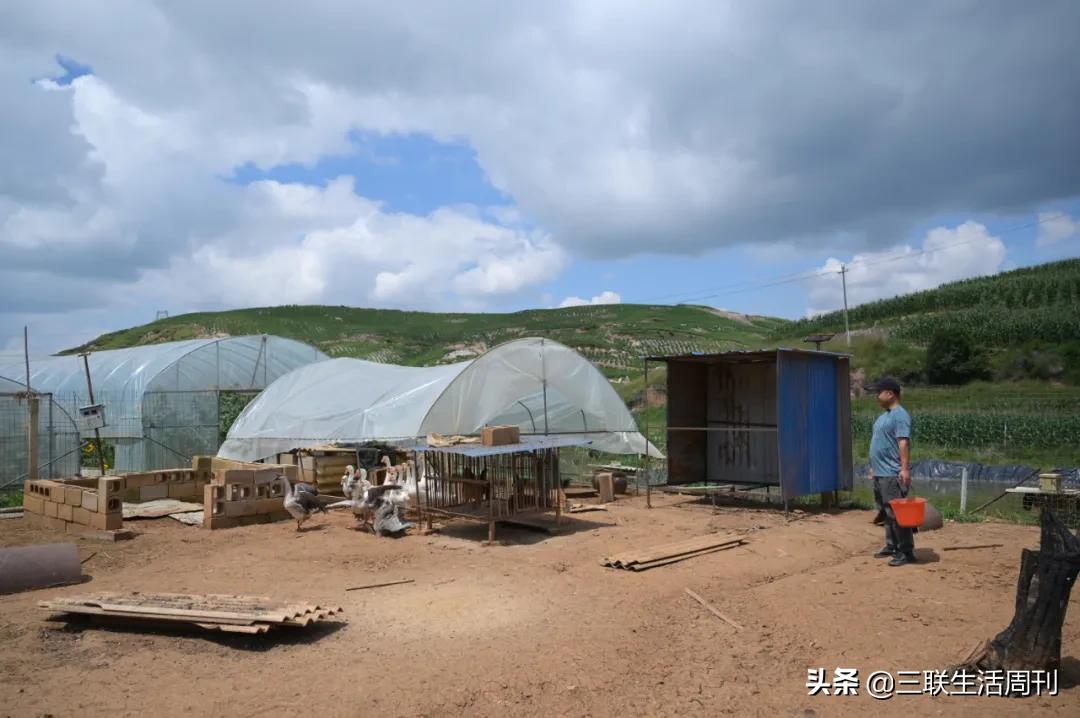 那些回村的年轻人,90后留在农村的真实生活