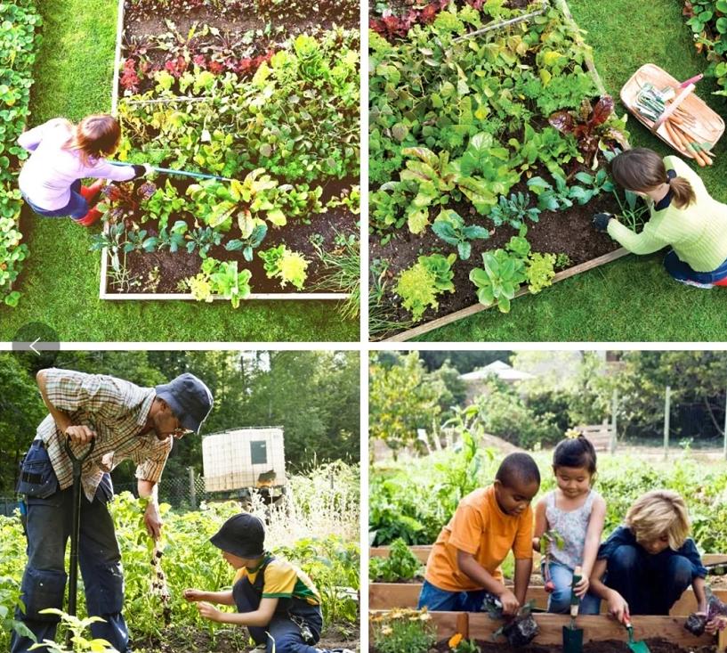 一亩土地怎么能一年赚20万,20亩地的农场该怎样赚钱