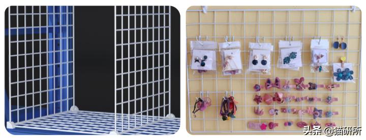 高层养猫到底要不要封窗,封窗养猫