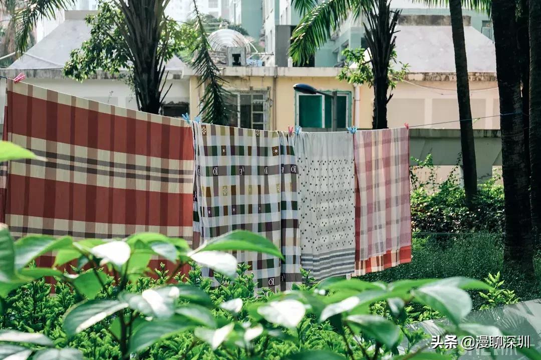 深圳益田村地址,行走深圳系列罗湖