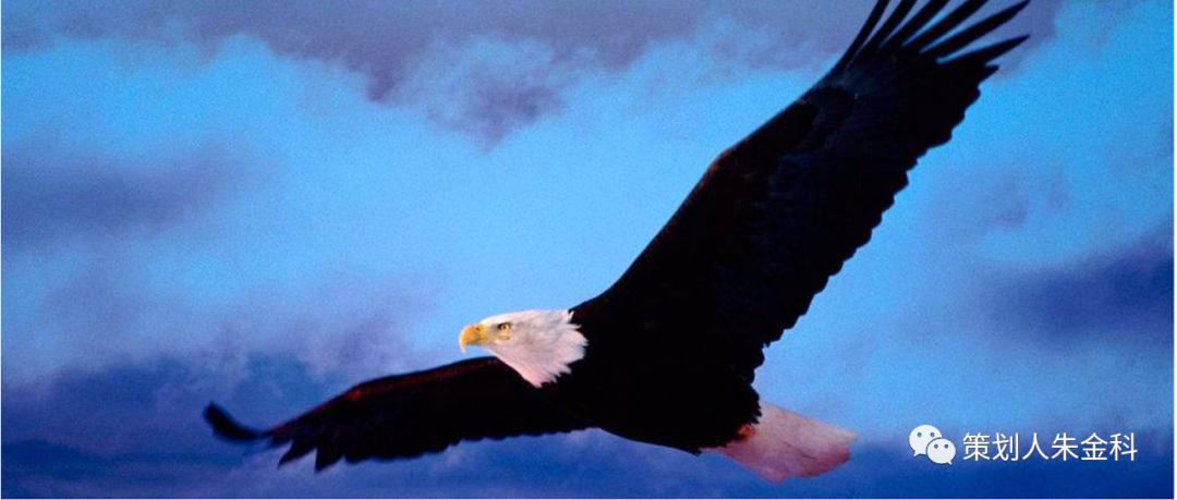 一个好名字让人过目不忘,好名字是成功的一半