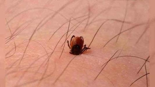 端午节怎么避毒,端午节需要注意的事项