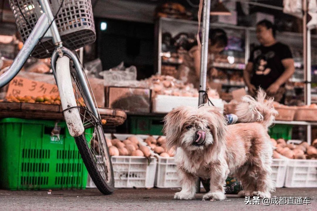 成都美食街排名第一,成都建设路美食街在哪里