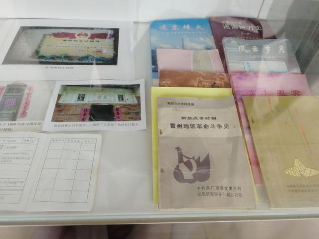 遂溪美丽乡村,遂溪美丽乡村建设