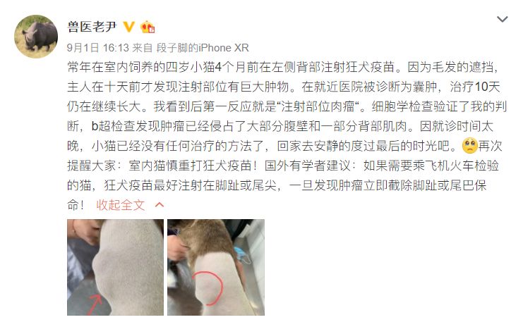 小猫打针后死了,小猫打了狂犬疫苗还会得病吗