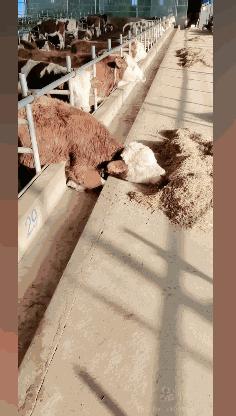 在远处和近处之间,有着属于每个人的角落