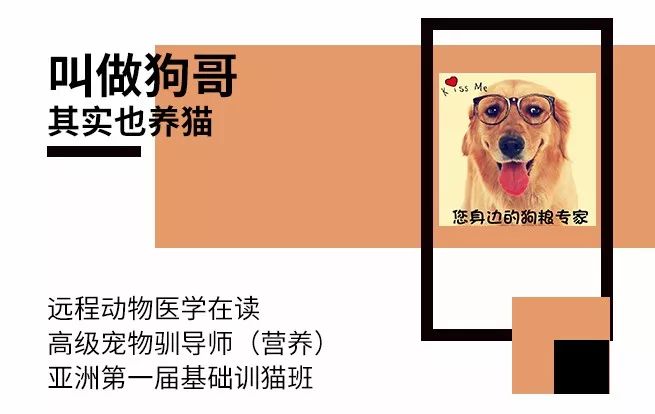 猫狗口腔清洁测评,猫狗洁齿水测评