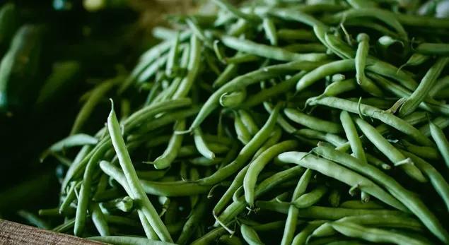 超市袋子的封口钉怎么正确打开,超市袋子封口钉怎么解