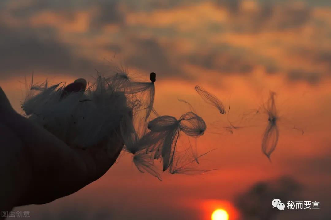 抑郁症的孩子就应该放手不管吗,家长对抑郁症孩子的鼓励