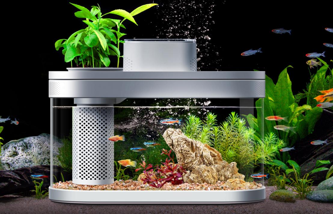 新手养鱼要挑什么样的鱼缸,养鱼新手老手怎么选择鱼缸