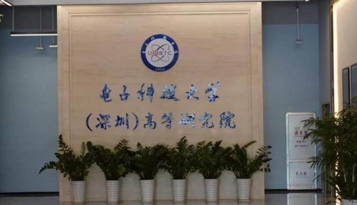 华为与龙华,霸气华为