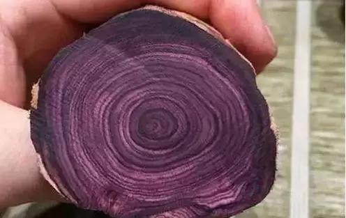 海南黄花梨油梨与糠梨纹路区分,黄花梨油梨和糠梨