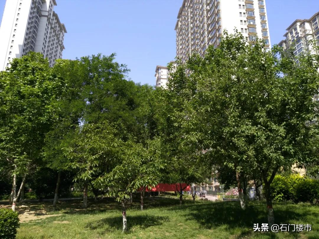 瀹炴帰鍚堣偉琚仐蹇樼殑鑰佹棫灏忓尯,瀹炴帰灏忓尯