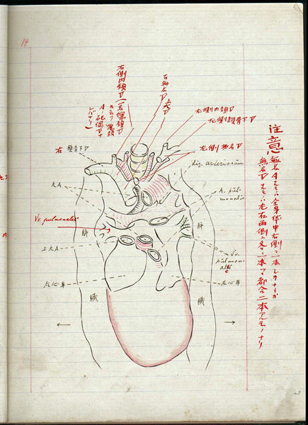 藤野先生眼中的鲁迅,鲁迅先生对藤野先生评价