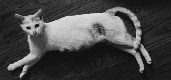 小罗伯特唐尼为什么就是钢铁侠,小罗伯特唐尼公布自己是钢铁侠