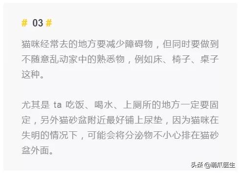 双目失明的猫怎么养,双目失明的猫有哪些