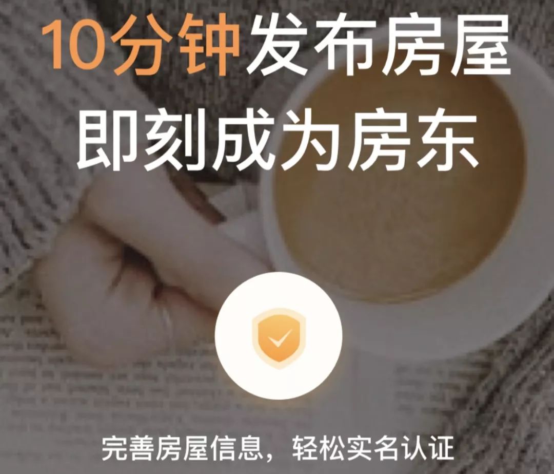 小猪民宿和木鸟民宿,小猪民宿和木鸟