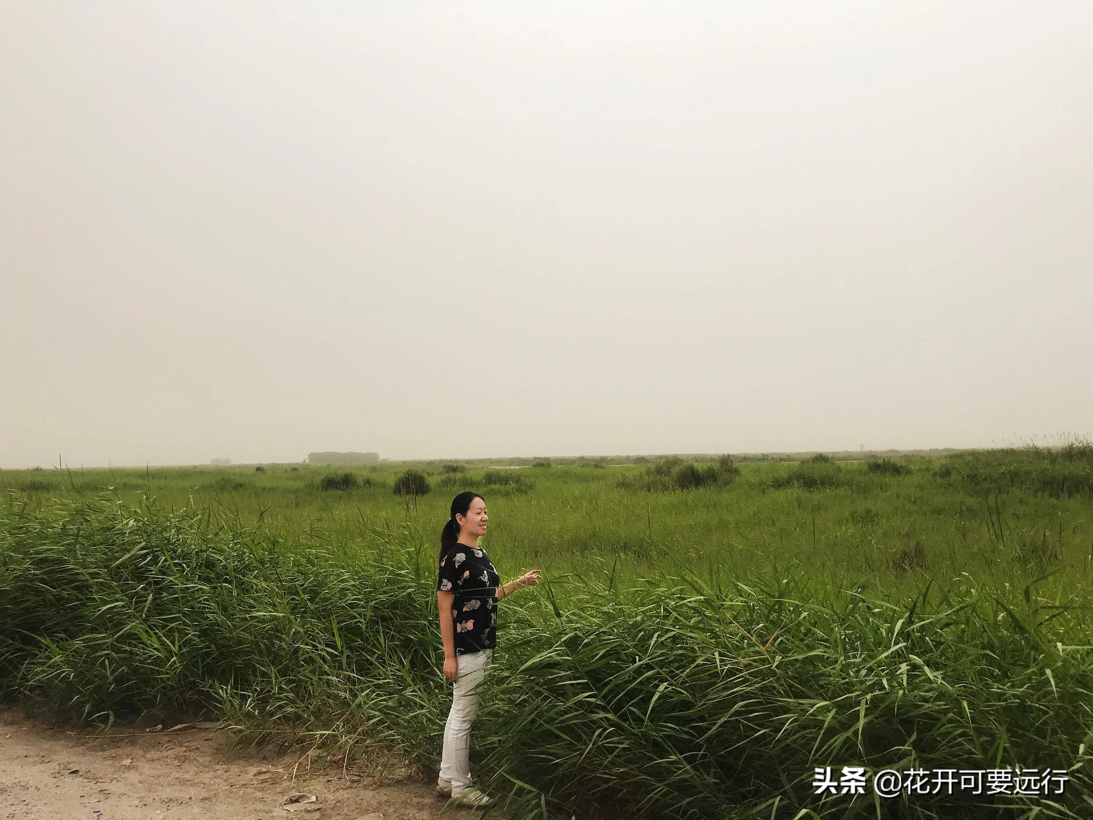 民丰到轮台全程565.66公里，限速80的塔克拉玛干沙漠公路，打卡吗