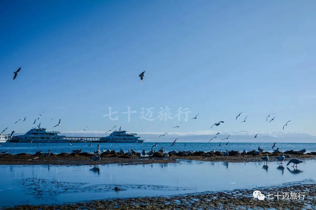 自驾游青海湖景点攻略图片最新版,青海湖自驾游必去景点攻略图