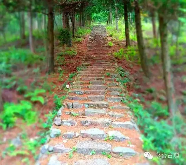 温州四海尖上观日出,初阳如血,美轮美奂,绝无仅有