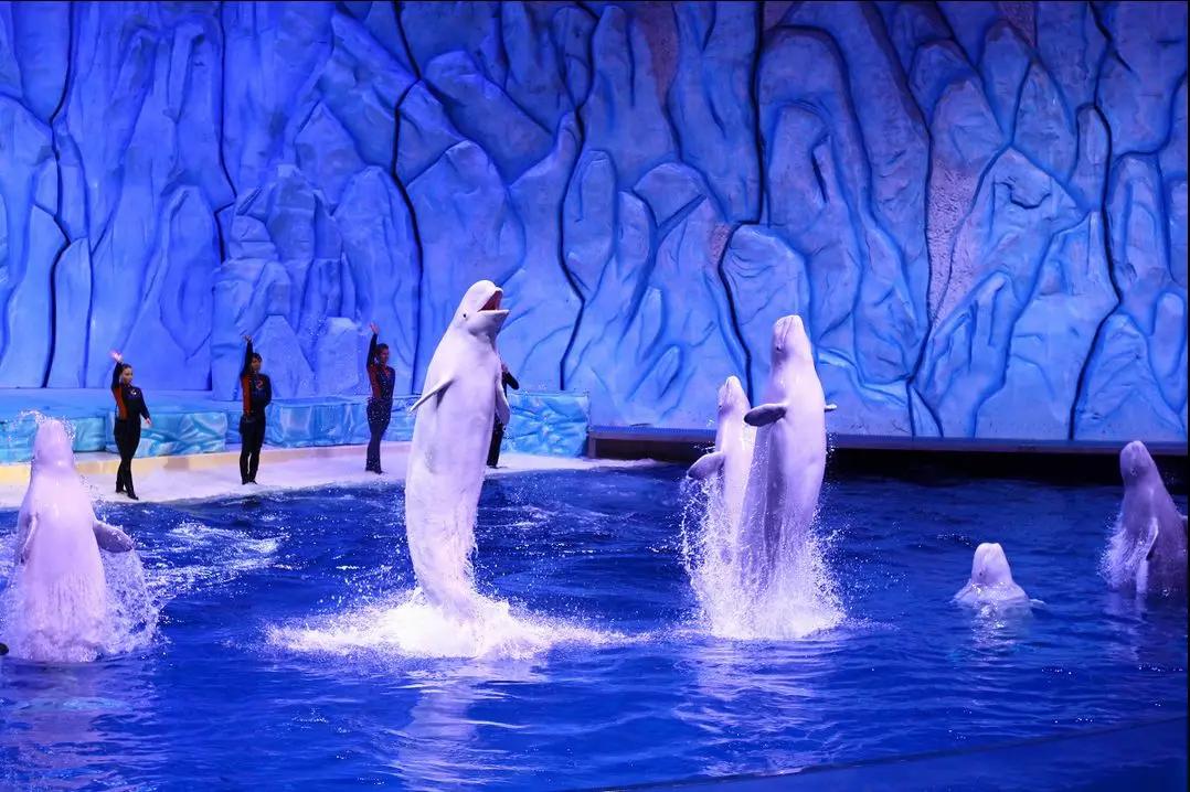 过年南方和北方的差异,北方人过年和南方人过年