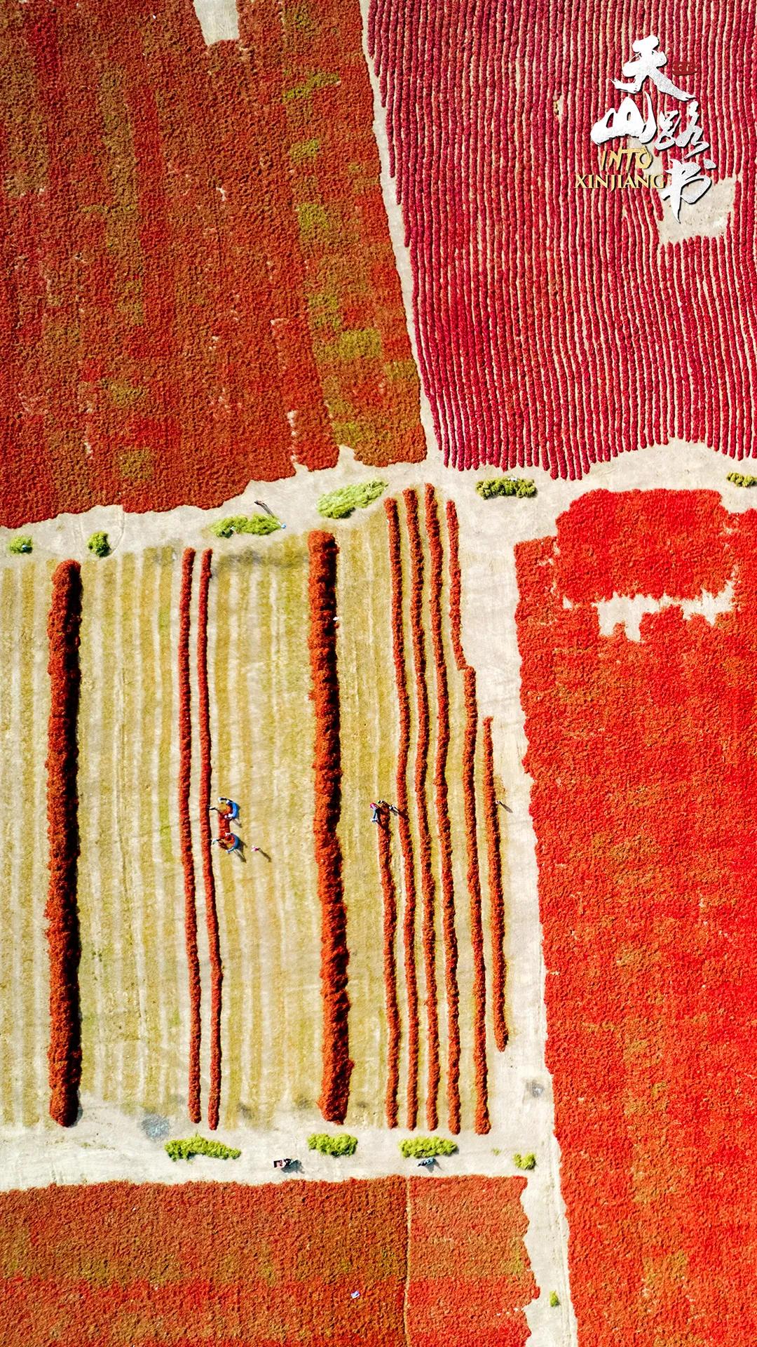 你有一份礼物请查收在哪领,你有一份礼物请查收是什么