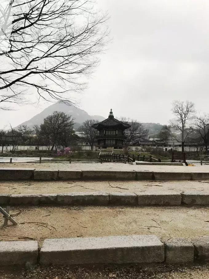 游记｜韩国好像没什么，但女孩子玩起来就是好爽