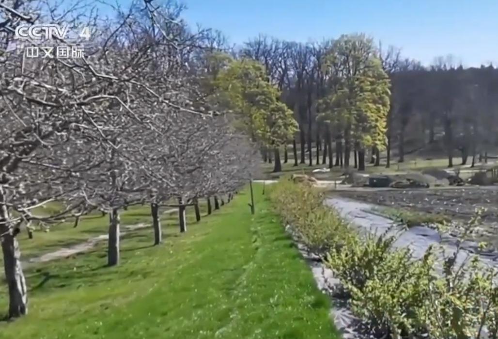 瑞典抗击疫情的话,瑞典抗新型病毒政策