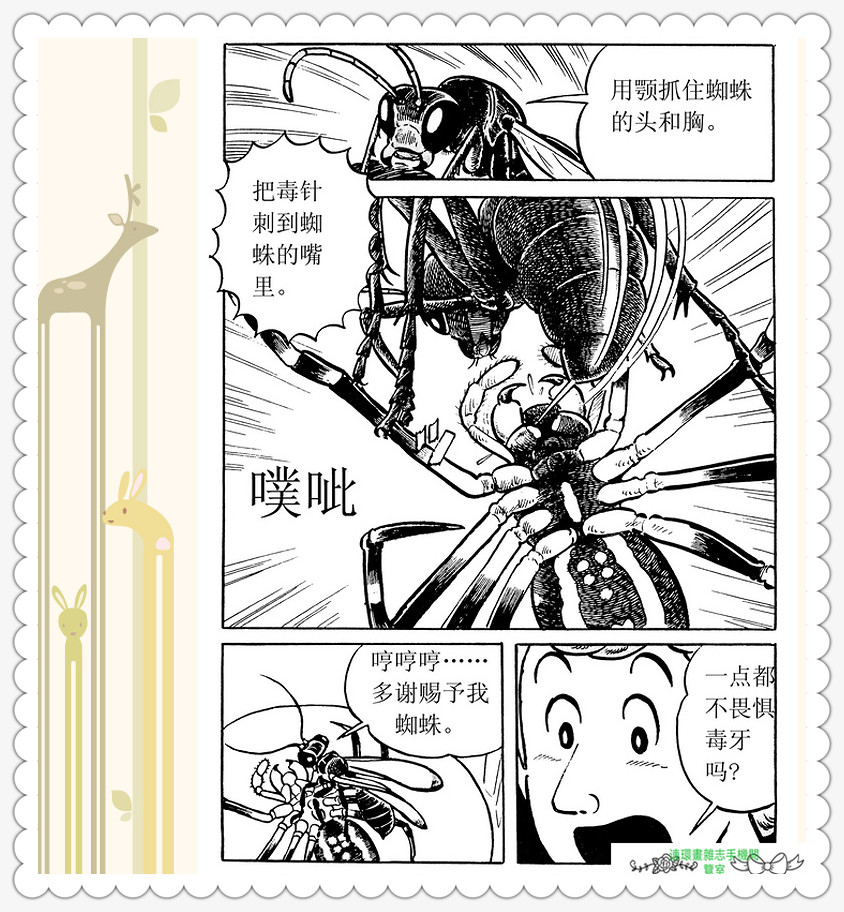 昆虫记法布尔动画片,昆虫记法布尔全套