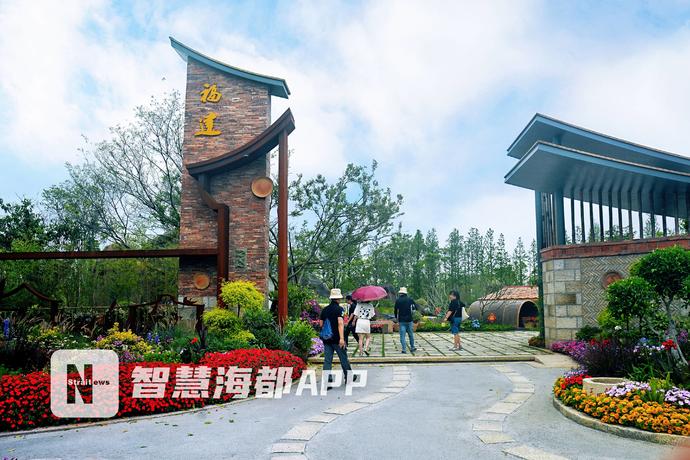 福建表现亮眼!新品种“兰花金边咖啡”获花博会特别大奖