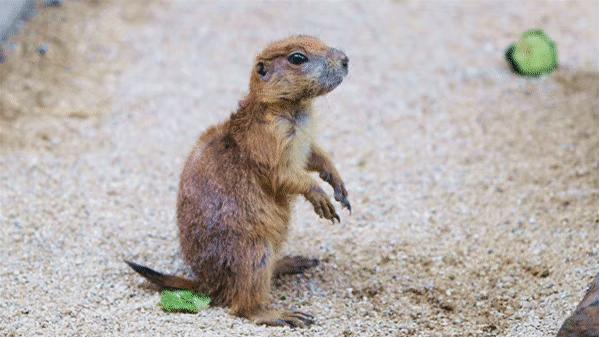 发现海洋魅力的景点,发现海洋