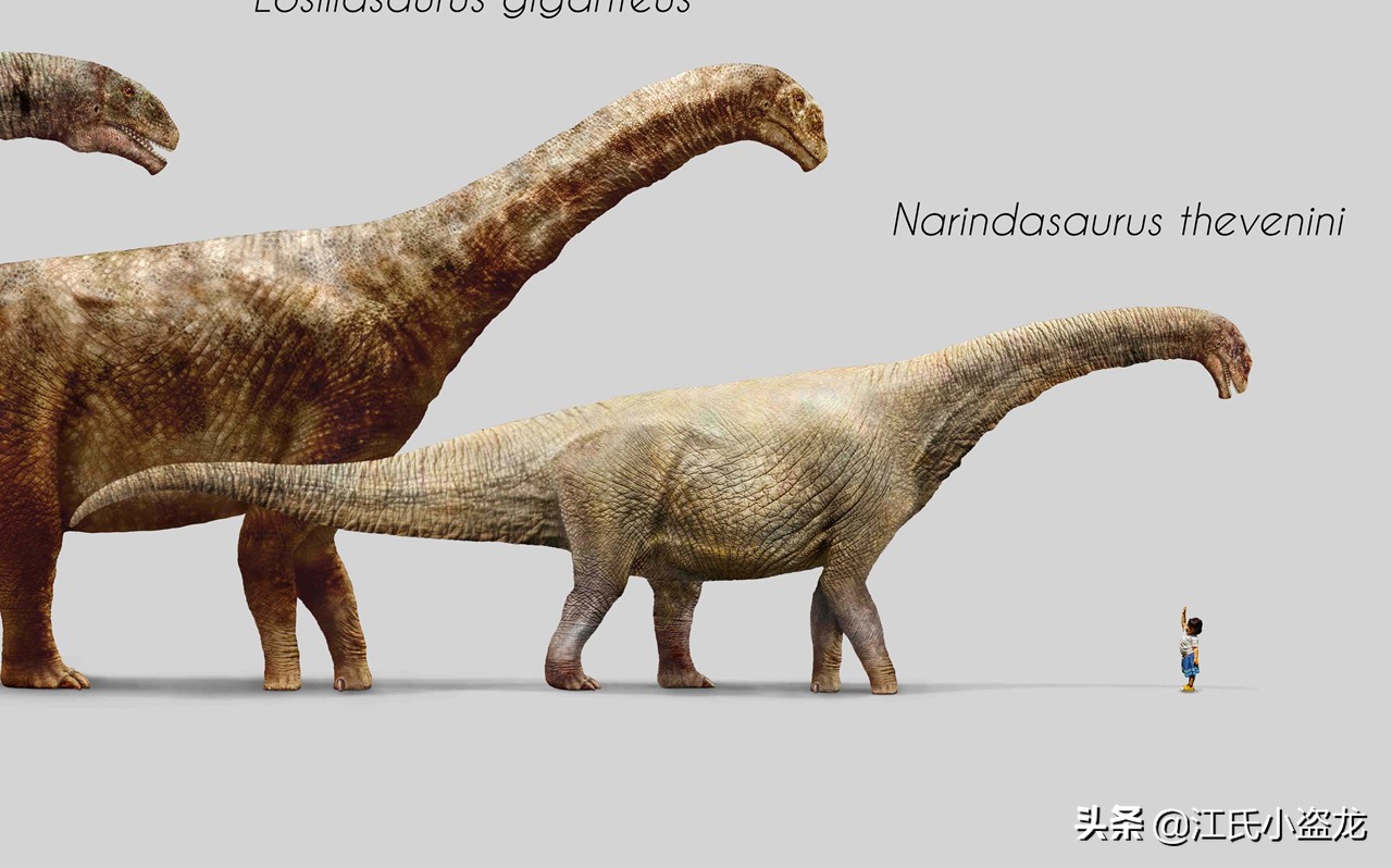 古生物学家发现恐龙新物种,古生物专家介绍侏罗纪
