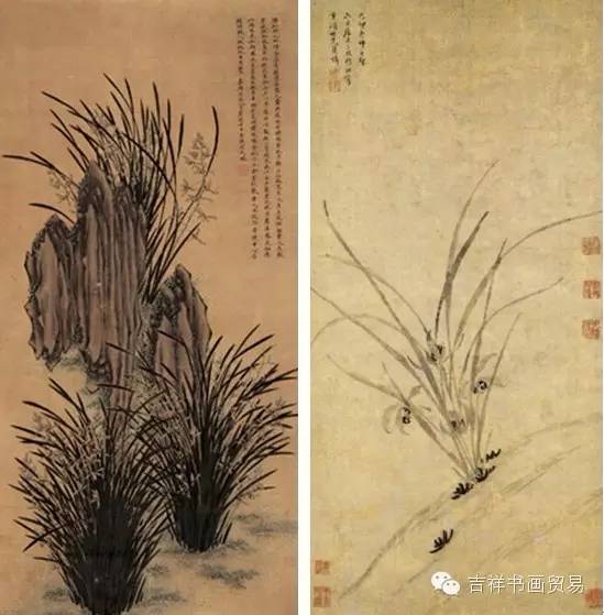 看看大家都是怎么画眉毛的,二月兰怎么画简单好看