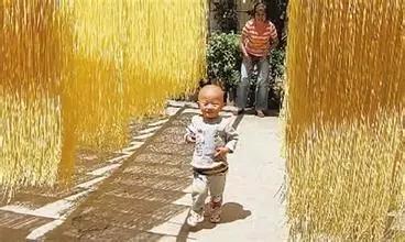 疫情过后一起去吃遍美食,疫情中的美食攻略