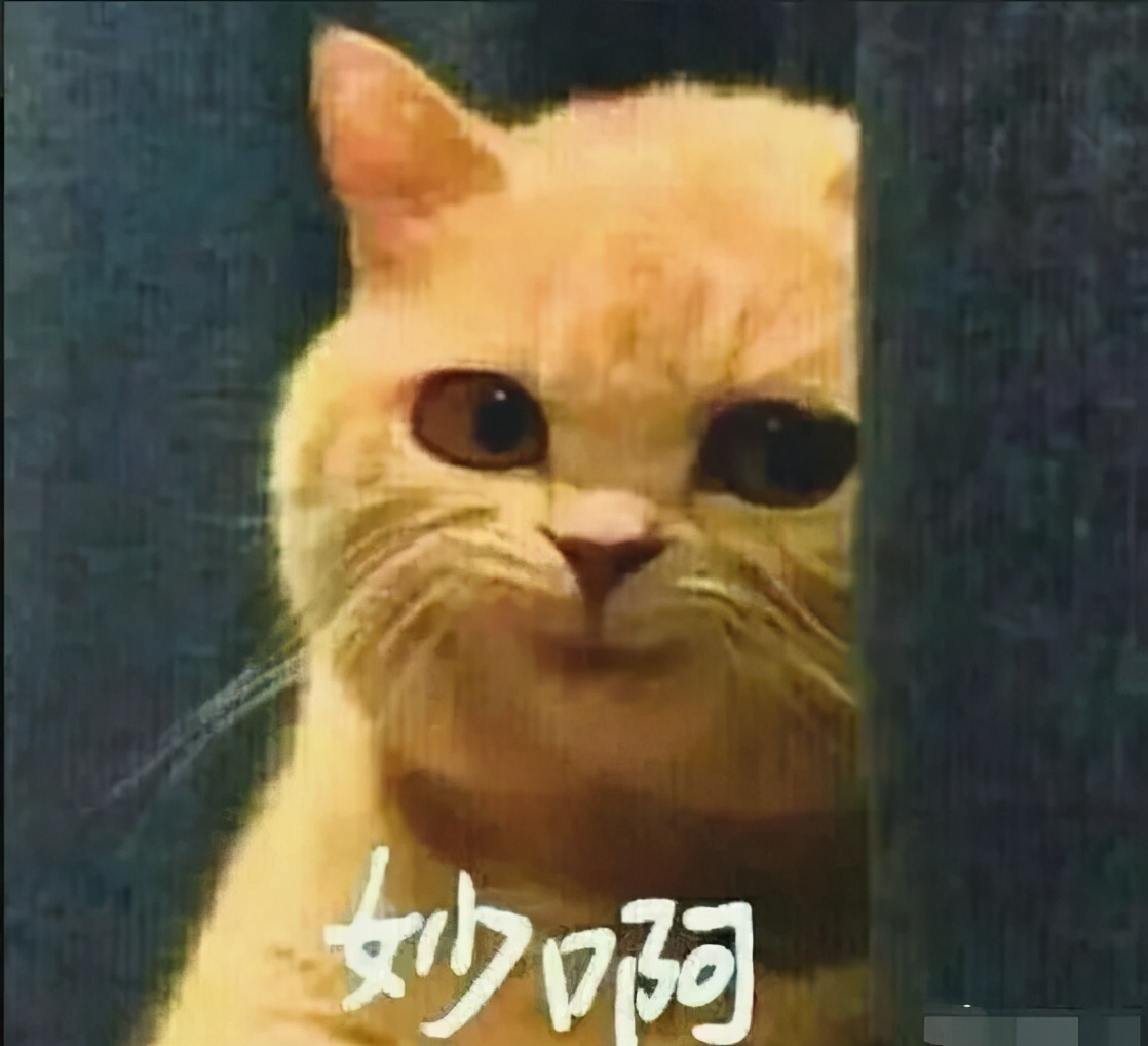 看看法国这些公立大学的排名，我好安排今年的申请志愿