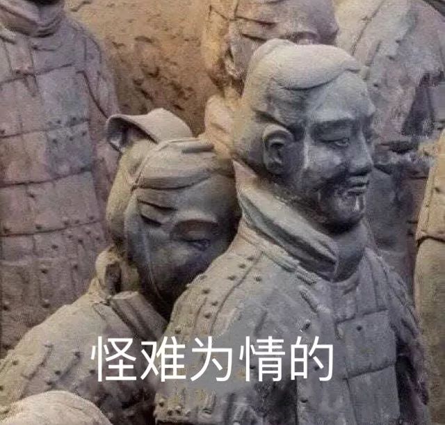 网红维e乳去哪里买,网红协和维e乳