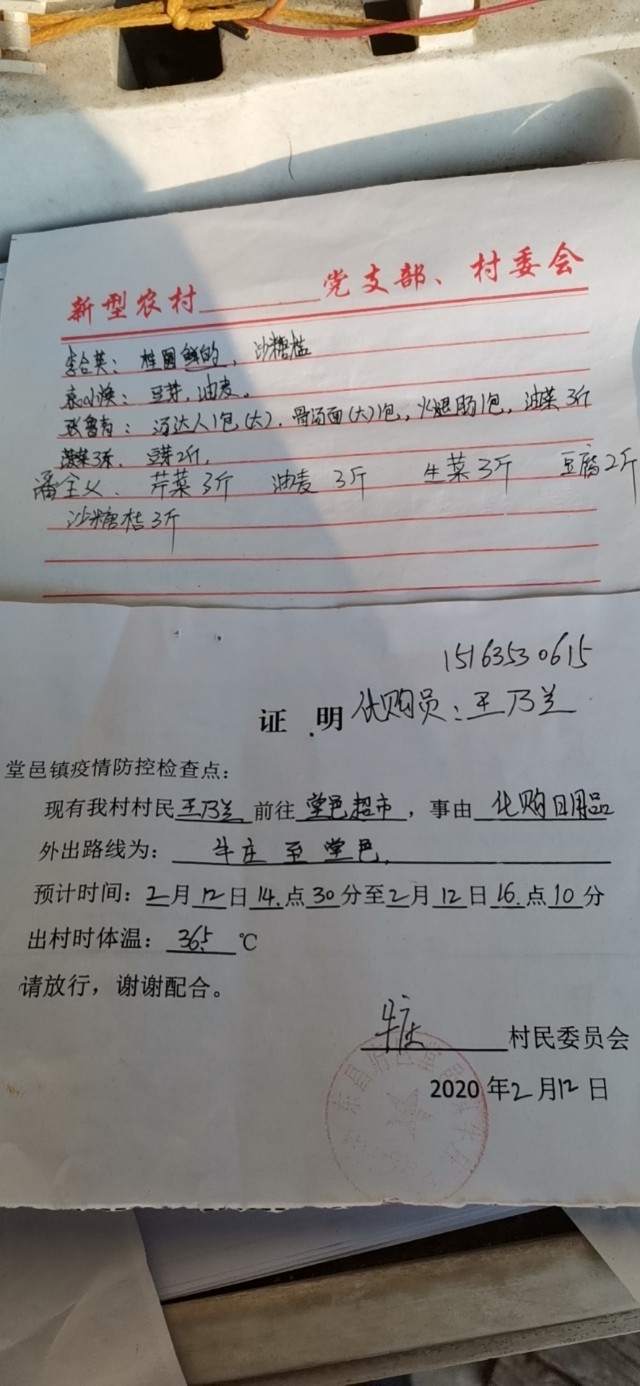 疫情下的农村入党宣誓,疫情下的农村风景