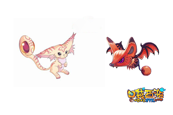 家有爱宠完整视频,家有爱宠新泰