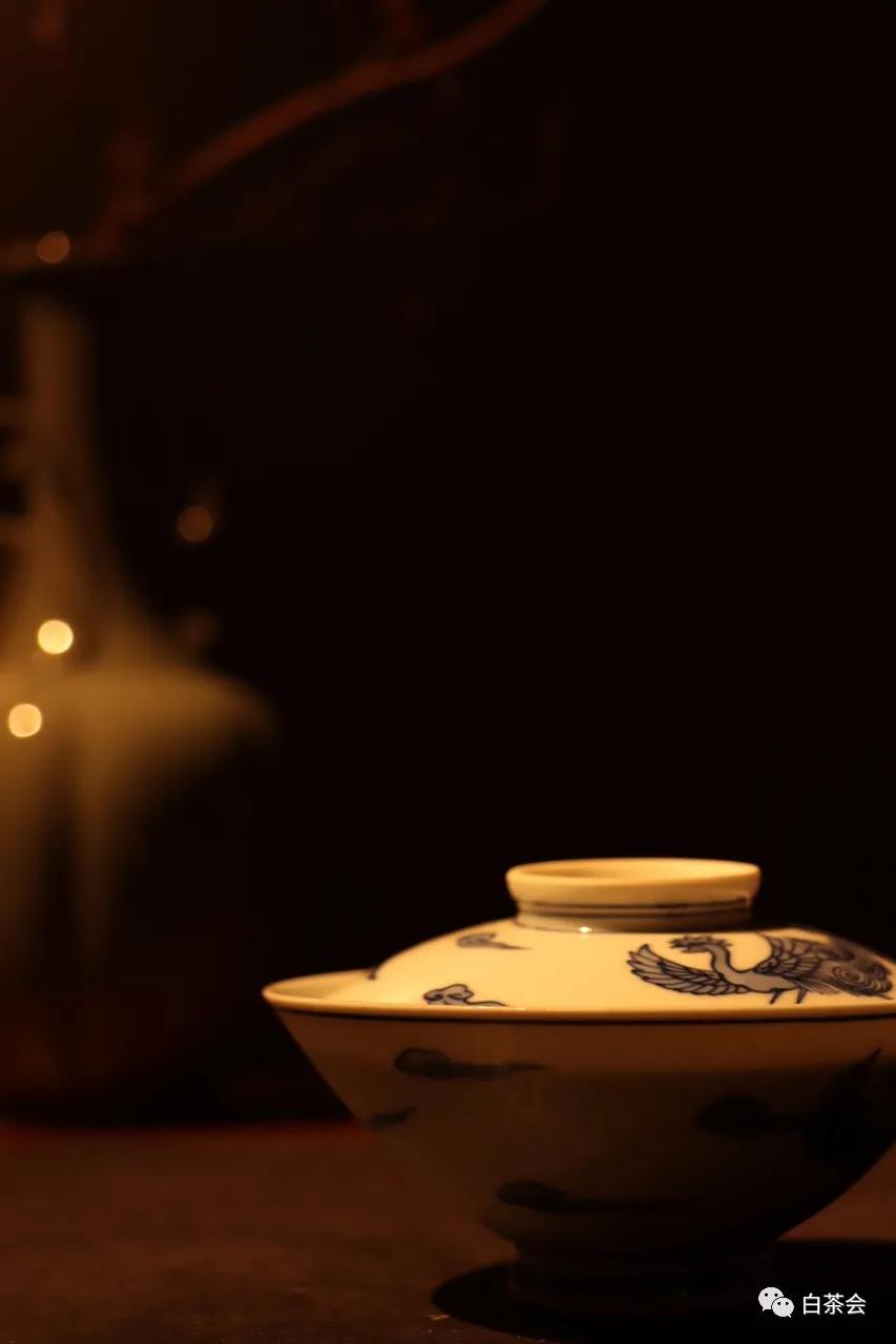 春节在家闷泡老白茶,夏天喝白茶的十大好处