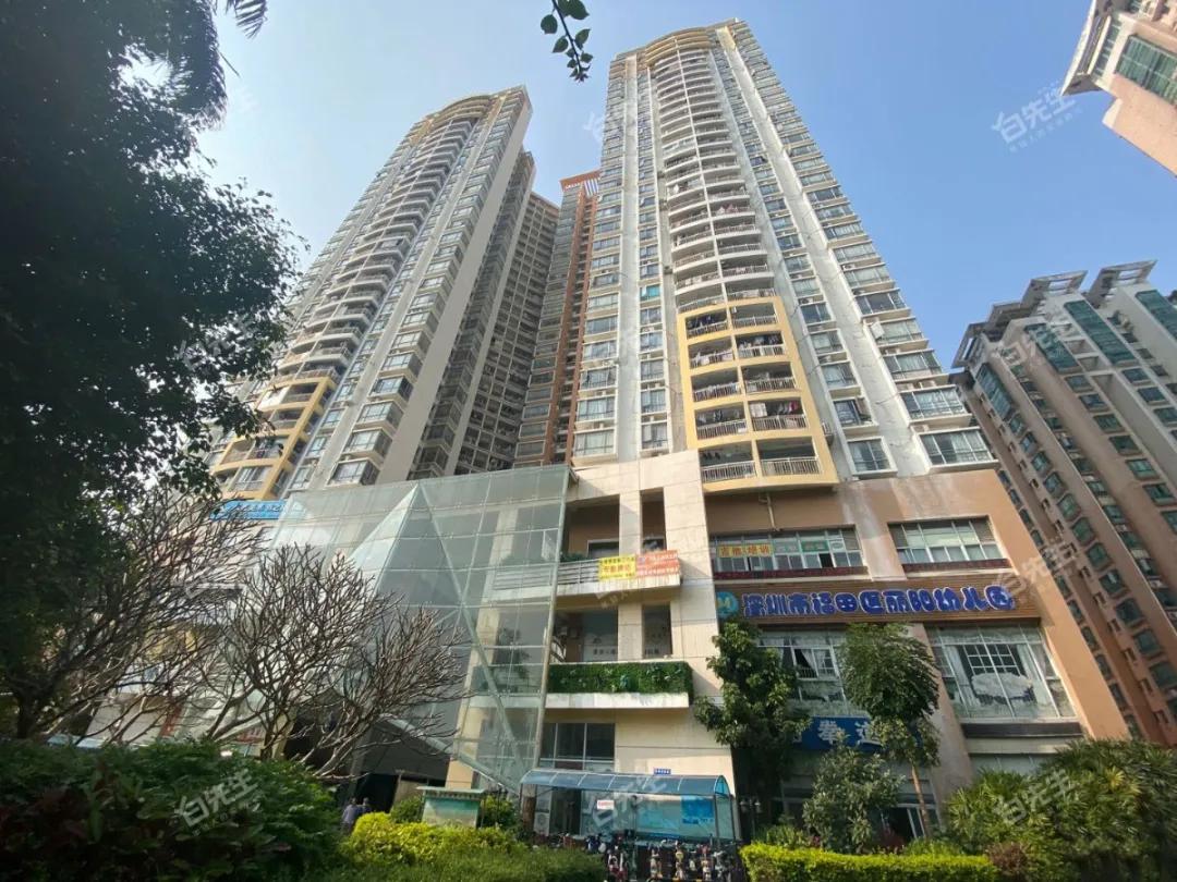 八大录取率名列前茅的二梯队石厦学校,学区房500万起