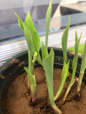 幸福来临清风细雨,幸福到来歌曲完整版