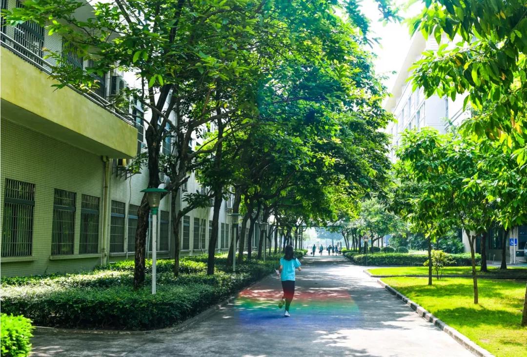 魅力校园广东,魅力校园石埠桥学校